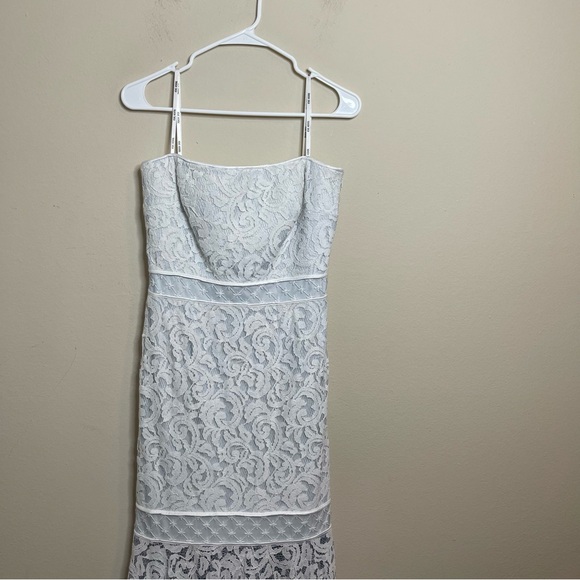 Tadashi Shoji Lace Overlay Strapless Dress - Picture 5 of 14